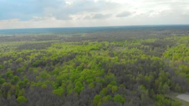 Beyaz Rusya hava fotoğrafçılığı ormanları ve alanları