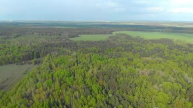 Beyaz Rusya hava fotoğrafçılığı ormanları ve alanları