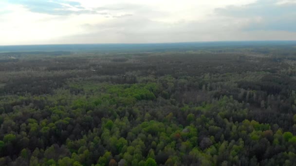 白俄罗斯的森林和田野航空摄影 — 图库视频影像