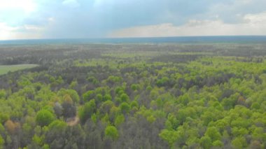Beyaz Rusya hava fotoğrafçılığı ormanları ve alanları