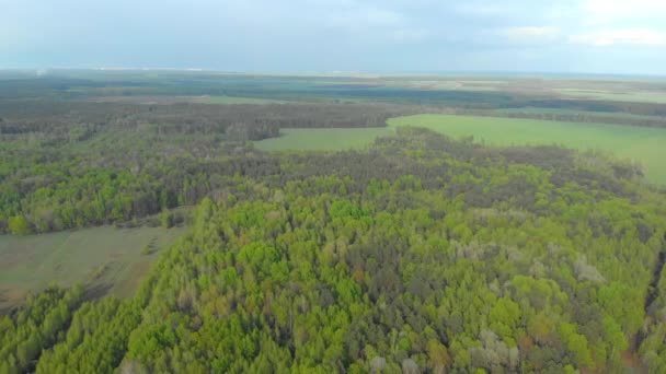 Bossen en velden van Wit-Rusland luchtfotografie — Stockvideo