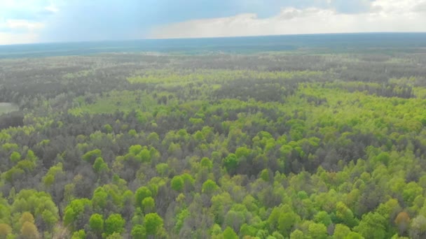 Bosques y campos de Bielorrusia fotografía aérea — Vídeo de stock