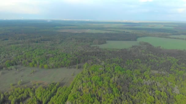 白俄罗斯的森林和田野航空摄影 — 图库视频影像
