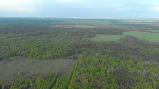 Forêts et champs de la Biélorussie photographie aérienne — Video