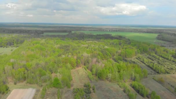Леса и области белорусской аэрофотосъемки — стоковое видео