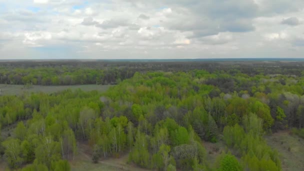 Forêts et champs de la Biélorussie photographie aérienne — Video