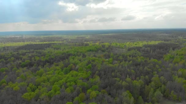 Foreste e campi della Bielorussia fotografia aerea — Video Stock