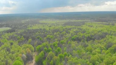 Beyaz Rusya hava fotoğrafçılığı ormanları ve alanları