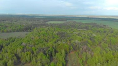 Beyaz Rusya hava fotoğrafçılığı ormanları ve alanları