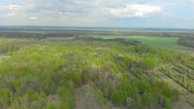 Beyaz Rusya hava fotoğrafçılığı ormanları ve alanları