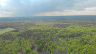 Beyaz Rusya hava fotoğrafçılığı ormanları ve alanları