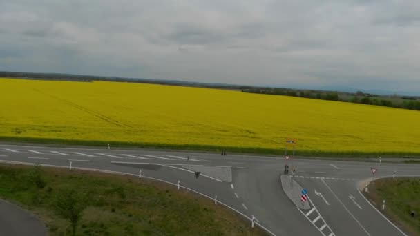 Aerial view of rapeseed field and rural road in the middle — Stock Video
