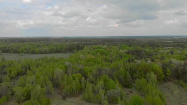 白俄罗斯森林和田野航空摄影 — 图库视频影像