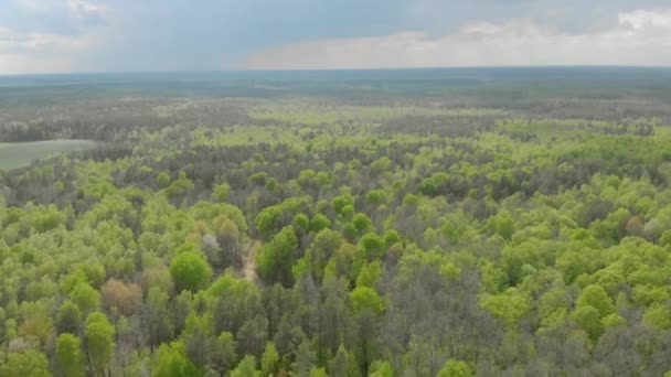 Bielorrusia bosques y campos fotografía aérea — Vídeo de stock