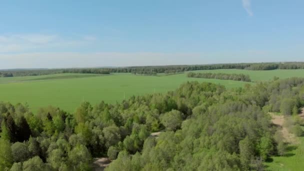 Biélorussie forêts et champs photographie aérienne 