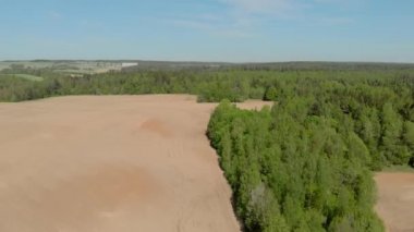Beyaz Rusya ormanları ve alanları hava fotoğrafçılığı