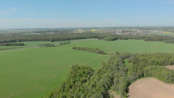ベラルーシの森林と野原航空写真 — ストック動画