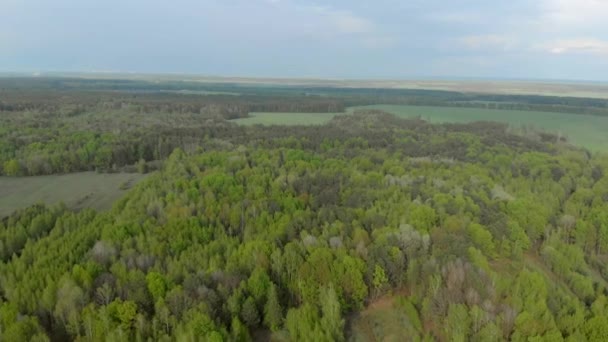 白俄罗斯森林和田野航空摄影 — 图库视频影像