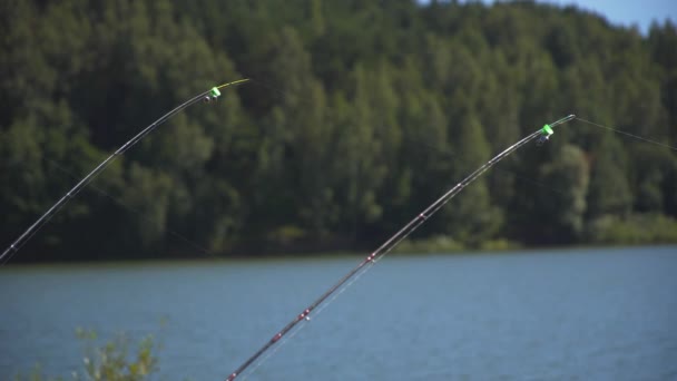 Feeder fishing quivertype bite fishing — Stock Video