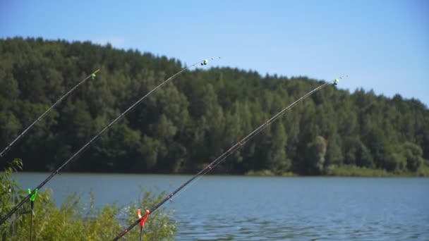 Mangeoire pêche carquois morsure pêche — Video