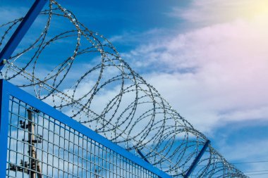 Barbed wires