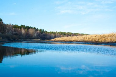 Orman ve nehir manzara