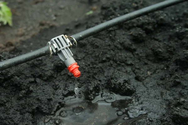 Irrigation system close up