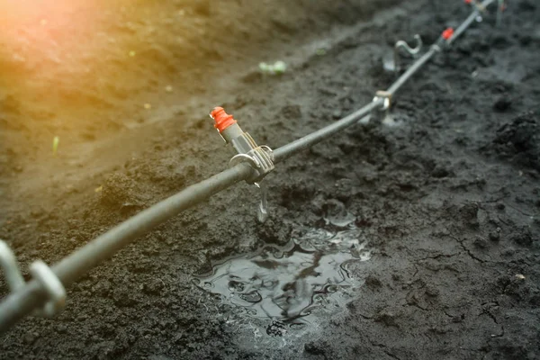 Système d'irrigation en gros plan — Photo