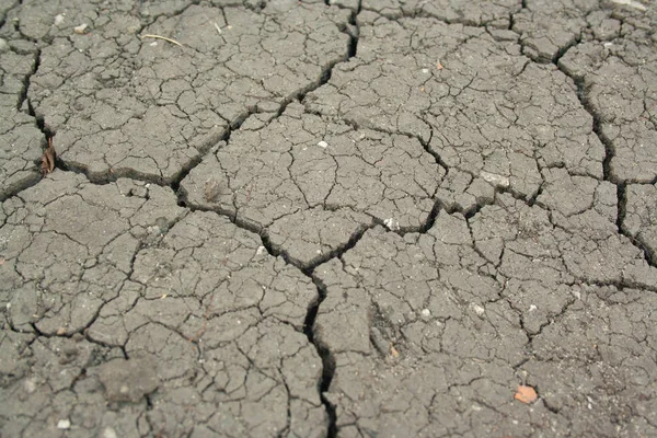 Dry cracked ground — Stock Photo, Image