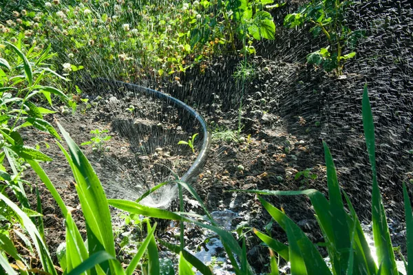 Sistema de irrigação no jardim — Fotografia de Stock