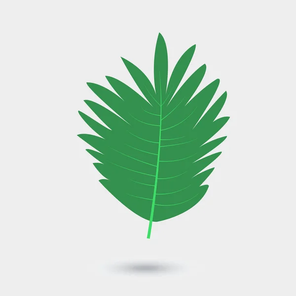 Feuille vectorielle de palmier isolée sur blanc — Image vectorielle