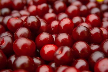 Olgun kiraz yığını