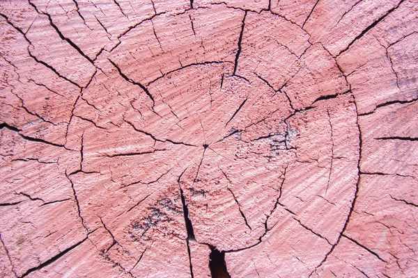 Vieille texture de bois découpé rose et fissuré. Arbre coupé texturé et altéré. Grunge — Photo