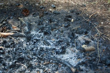 Yangından sonra kül yığını