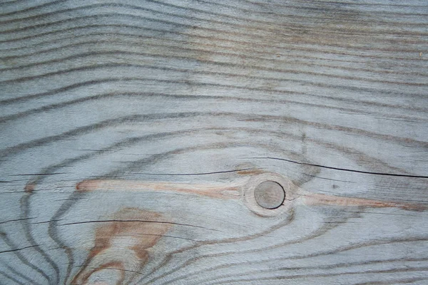 Texture en bois — Photo