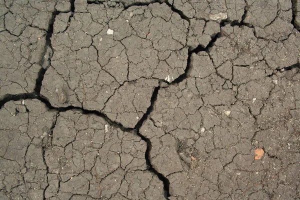 Solo seco rachado — Fotografia de Stock