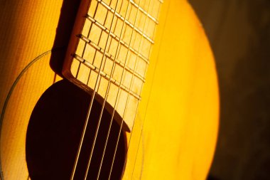 Gitarın ayrıntıları 