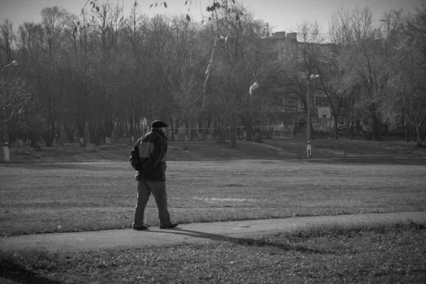 Vecchio solitario — Foto Stock