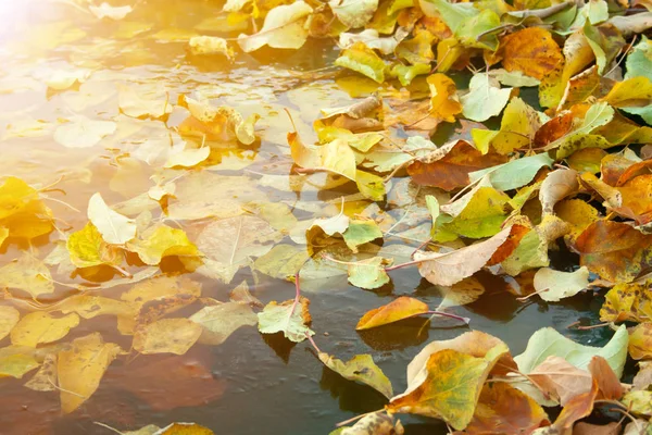 Gefrorenes Wasser — Stockfoto