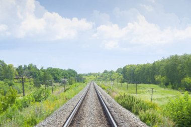 Yaz yeşil alanları ile bir demiryolu. Güzel yeşil demiryolu ağacı manzara gökyüzü. Güzel manzara. Demiryolu taşımacılığı. 