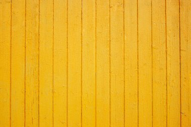 Ahşap sarı duvar dokusu. Tahıl ahşap arka plan. Metin için yer. Tasarım için doku. Parlak ahşap