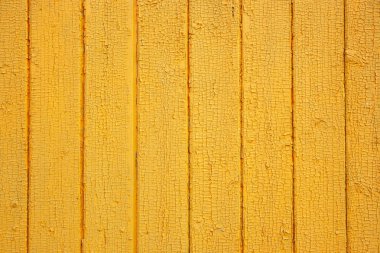 Ahşap sarı duvar dokusu. Tahıl ahşap arka plan. Metin için yer. Tasarım için doku. Parlak ahşap