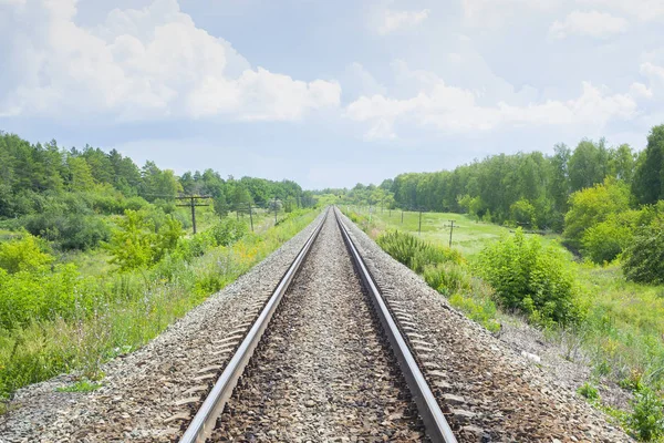 Ferrocarril Través Los Campos Verdes Verano Hermoso Ferrocarril Verde Árbol —  Fotos de Stock