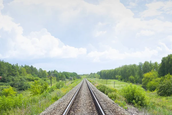 Ferrocarril Través Los Campos Verdes Verano Hermoso Paisaje Árboles Ferrocarril —  Fotos de Stock