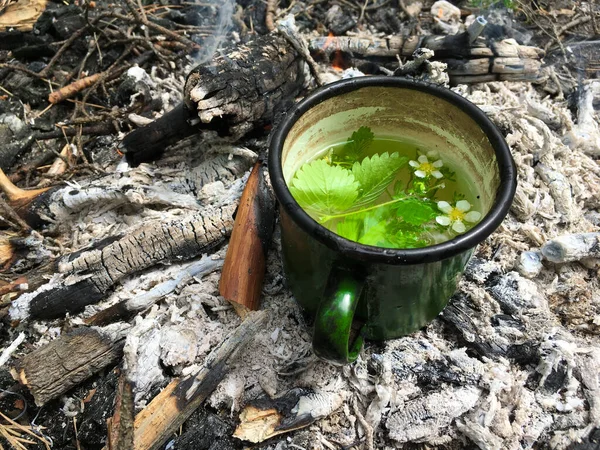 Una taza de té hecho de salvaje —  Fotos de Stock