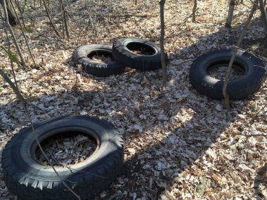 Ormanda eski, kirli lastik lastikler. Yasadışı