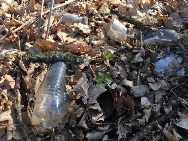 Yeşil çimlerin üzerinde plastik şişe — Stok fotoğraf