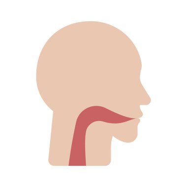Gırtlak simgesi, vektör illüstrasyonu basit tasarım