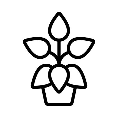 Peperomia web simgesi düz tasarım, vektör illüstrasyonu