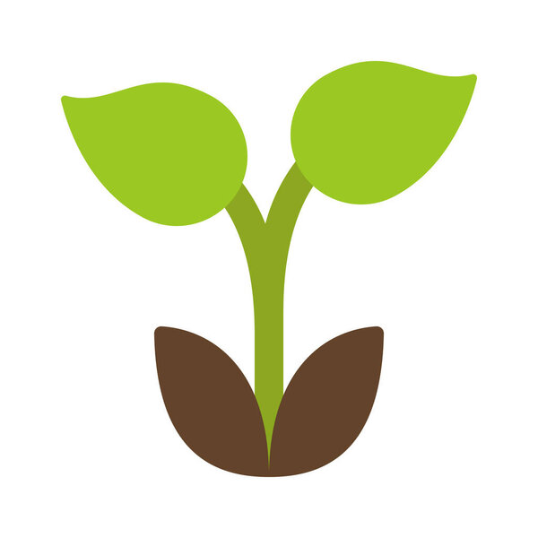 Растение из векторной иллюстрации семенной паутины